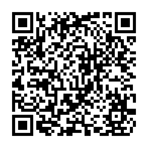 QR code for CNE 313