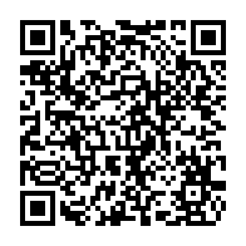 QR code for CNG 384