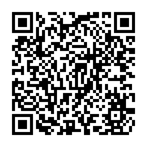 QR code for CNI541