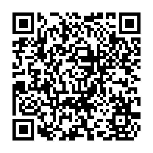 QR code for CNN 295