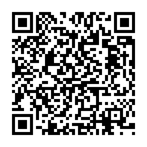 QR code for plate CNV 503