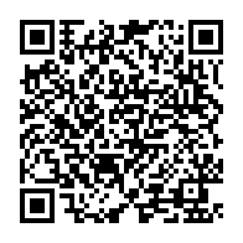 QR code for CNY 613