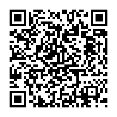 QR code for plate COE 817
