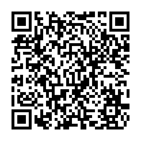 QR code for COJ 383