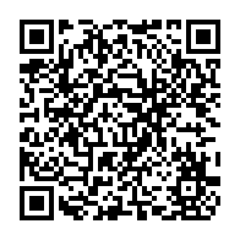 QR code for COP 161