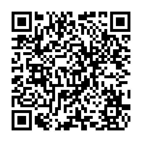 QR code for COQ 383