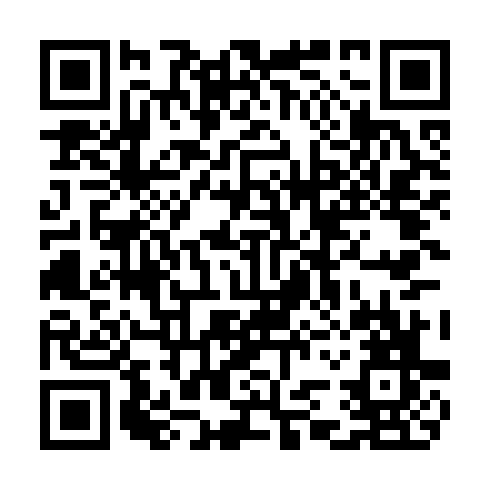 QR code for COS 565