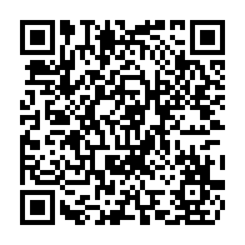 QR code for COS 919