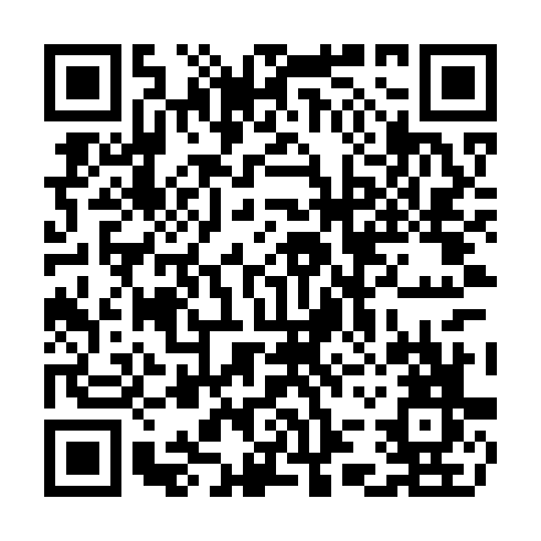 QR code for plate COT 919
