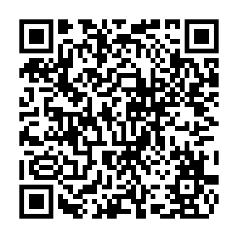 QR code for plate COZ 384