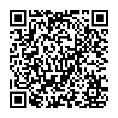 QR code for plate CPQ 333