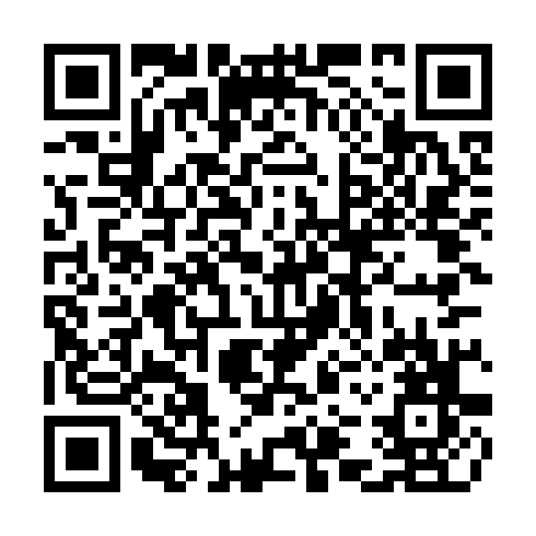 QR code for CPV 541