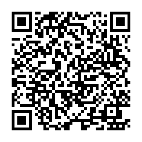 QR code for plate CPX 333