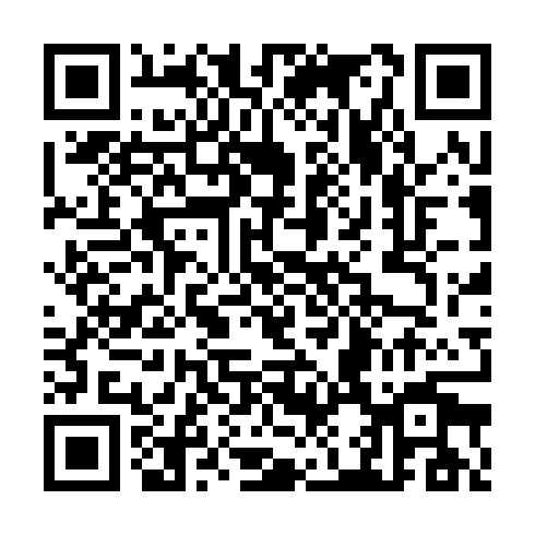 QR code for CPZ013
