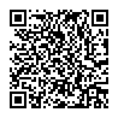 QR code for CQE 919