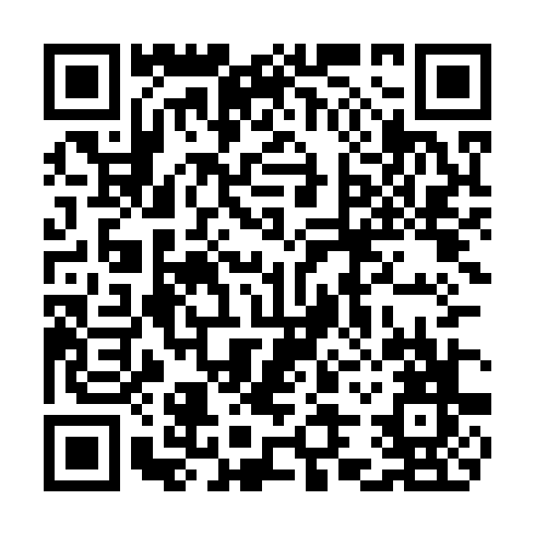 QR code for plate CQP 163