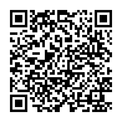 QR code for plate CQZ 993