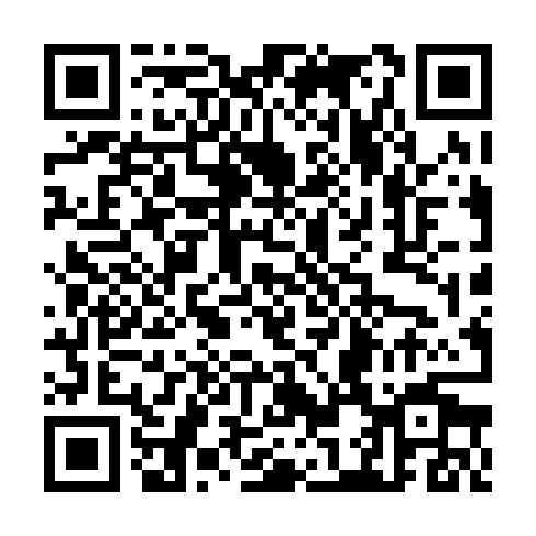 QR code for CRM 384