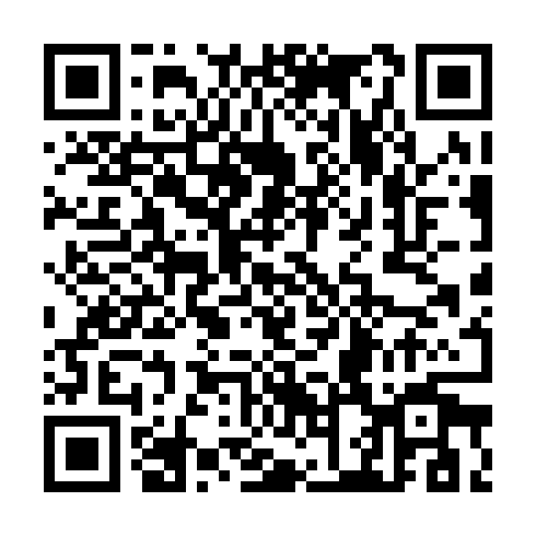 QR code for CSE 738
