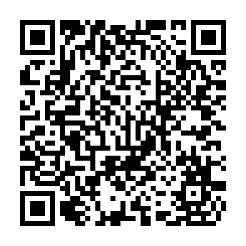QR code for CSI 595