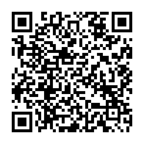QR code for CSK 411