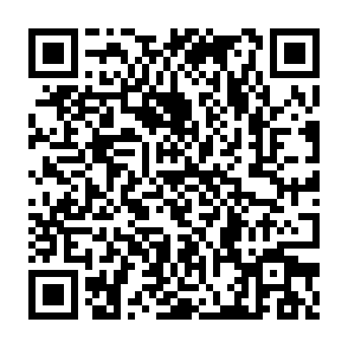 QR code for plate CSX 111