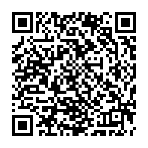 QR code for CTF 300