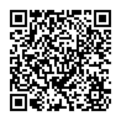 QR code for CTF 491