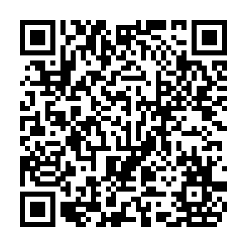 QR code for plate CTF 173
