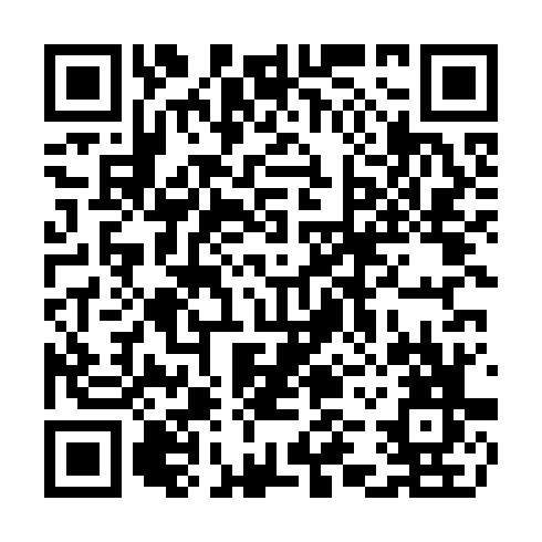 QR code for CTF411