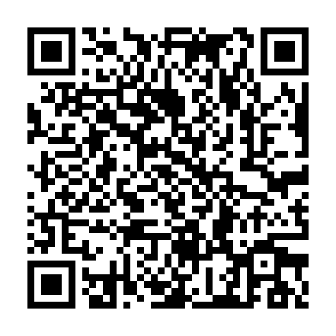 QR code for plate CTF 919