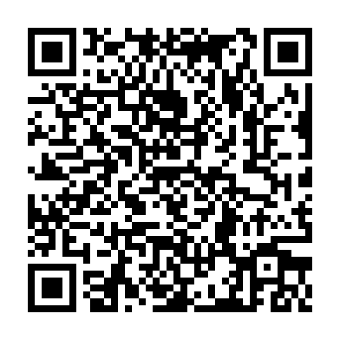 QR code for CTG 381