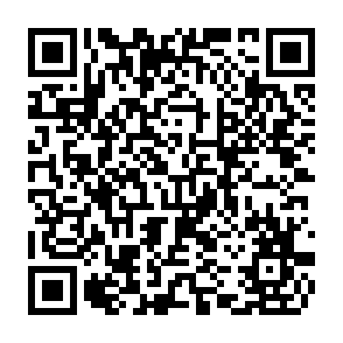 QR code for CTG 993