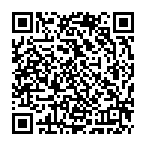 QR code for CTL 333