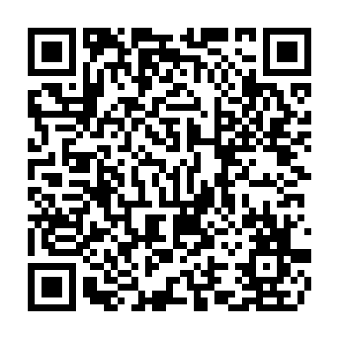 QR code for CTM 313