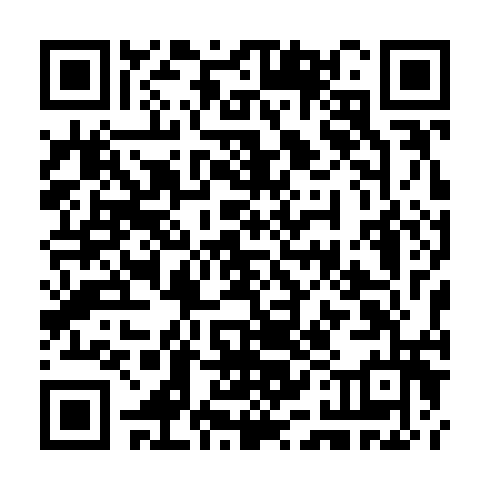 QR code for plate CTM 387