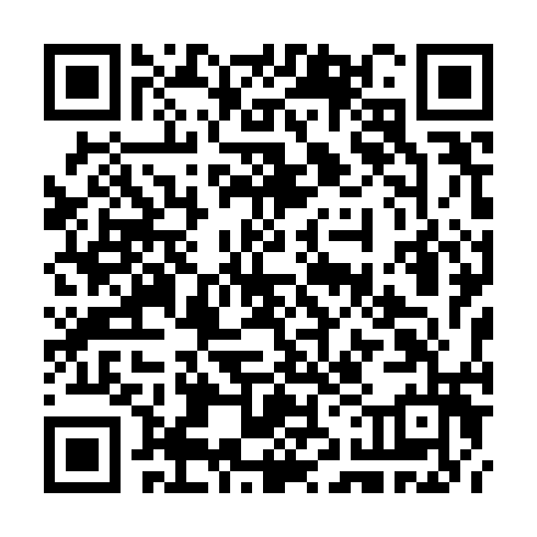 QR code for CTN 993