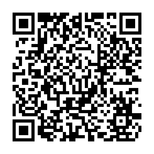 QR code for plate CTN 919