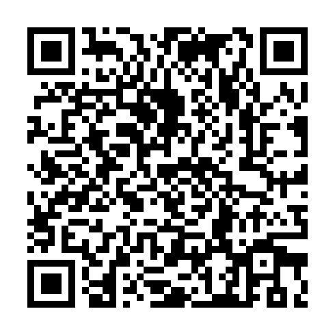QR code for plate CTX 171