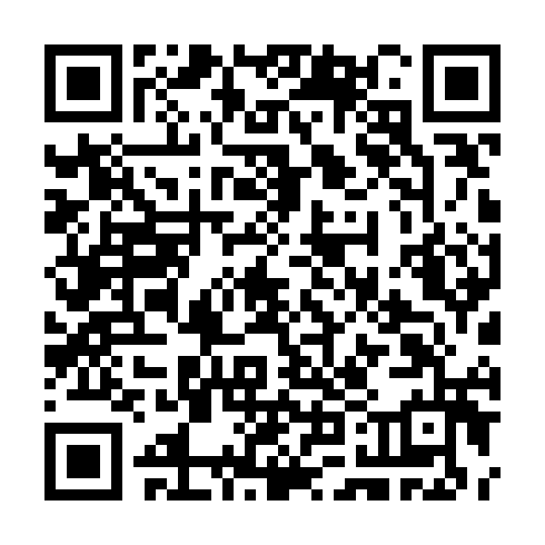 QR code for CUH 919