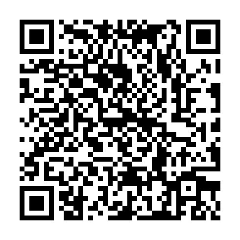 QR code for CVI 300