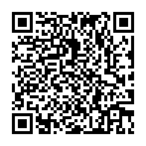 QR code for CVS 369