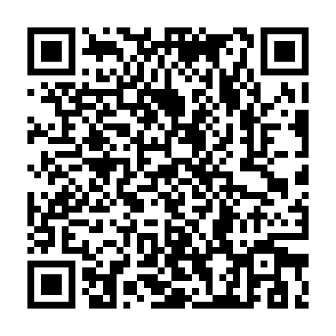 QR code for CWE 739