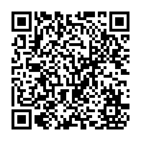 QR code for CWE 876
