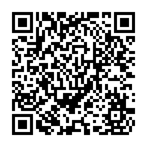 QR code for CWE 993