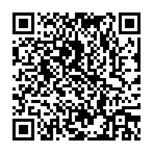 QR code for CXS 411