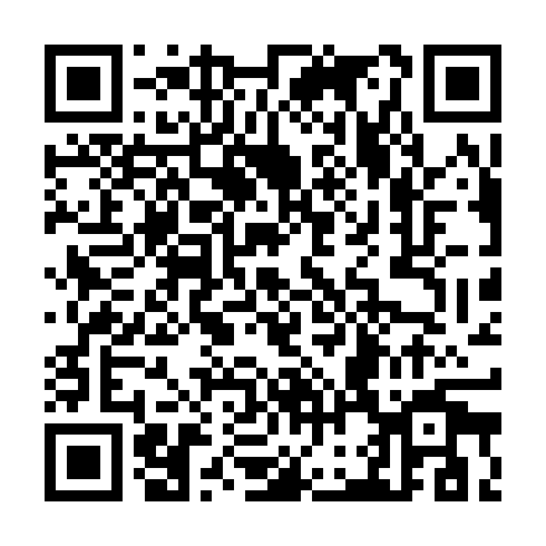 QR code for CYD 333