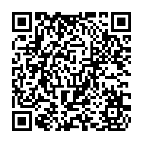 QR code for CYI493