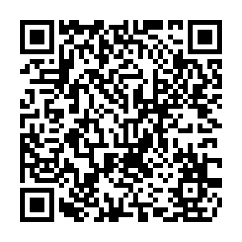 QR code for plate CYN 318