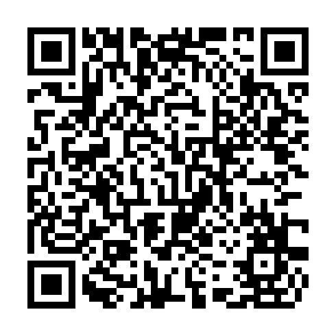 QR code for CYQ 593
